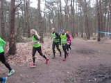 Bosloop Brecht - 06.jpg